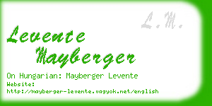 levente mayberger business card